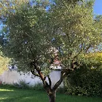 ღ Avocette - Maison, Proche Plage, Parking & Wifi Holiday home