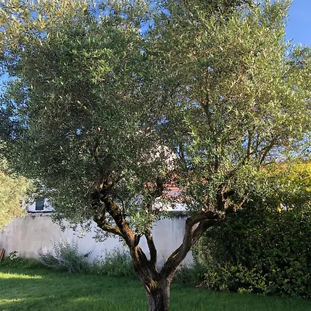 ღ Avocette - Maison, Proche Plage, Parking&wifi Ferienhaus